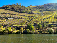 Douro Valley-1